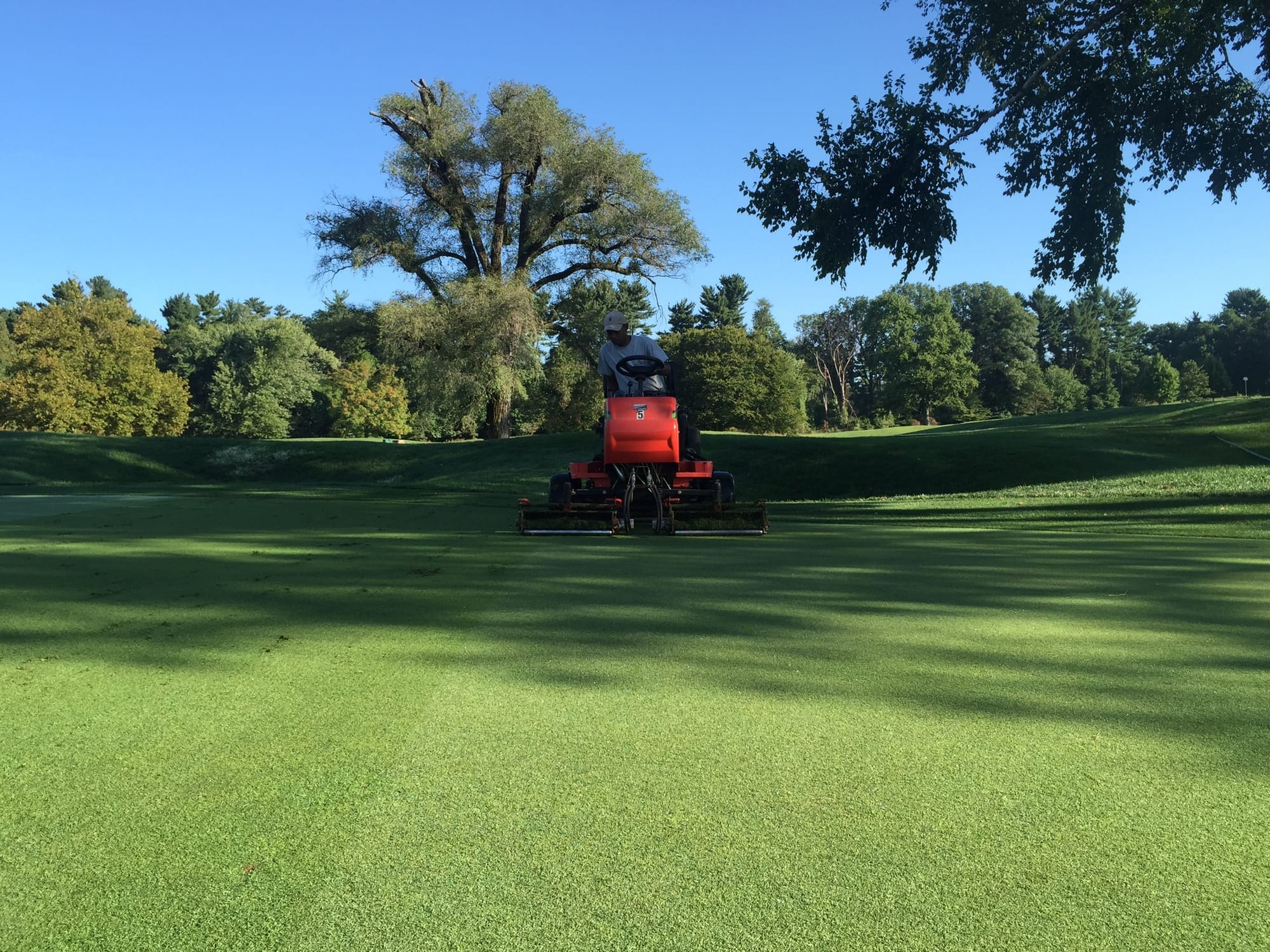 Shallow Vecticut and Light Topdressing