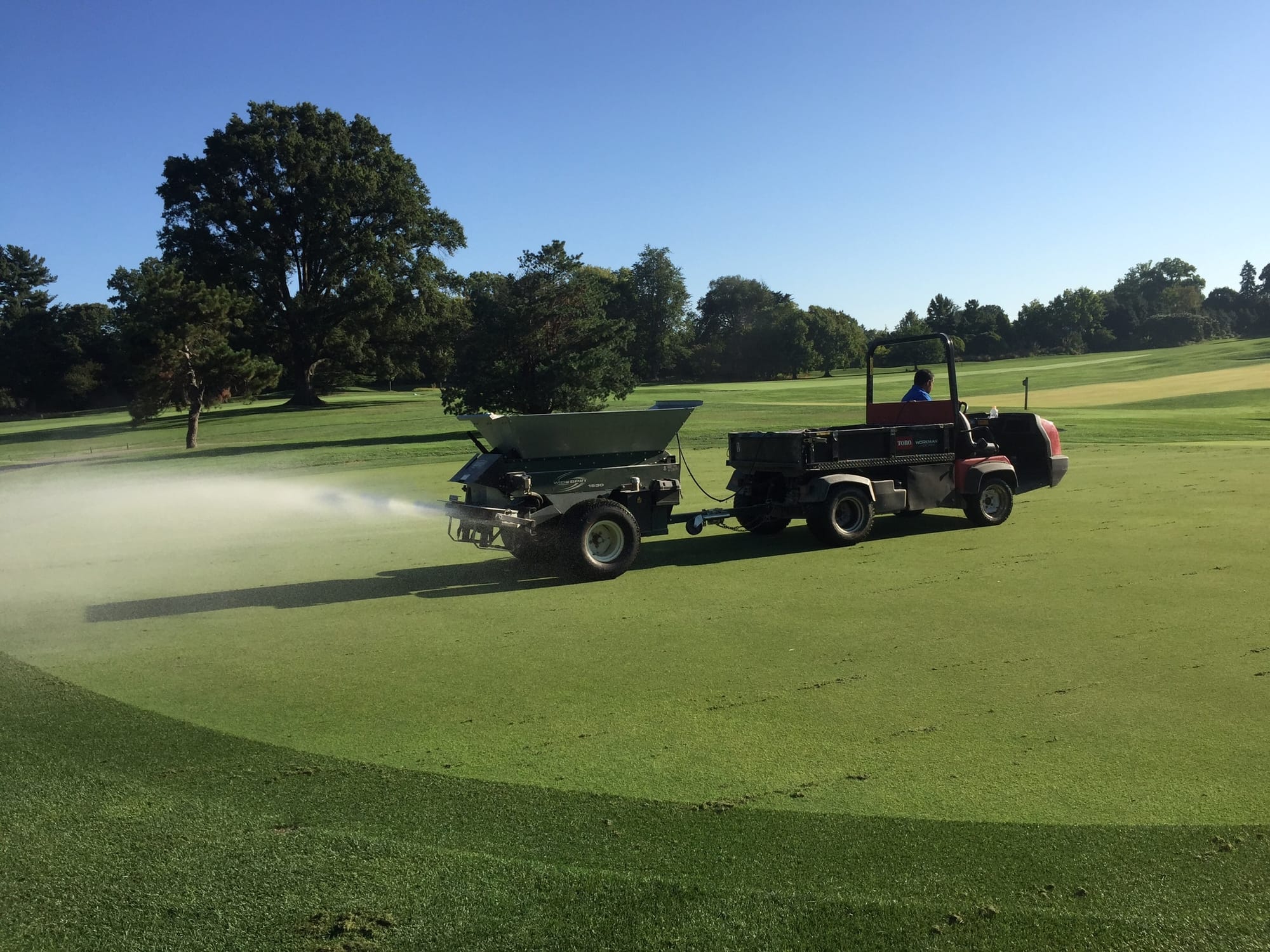 Shallow Vecticut and Light Topdressing