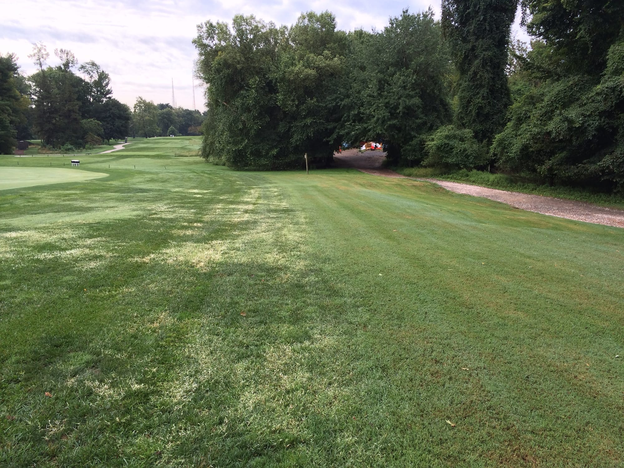 Bermudagrass Eradication with Topramezone