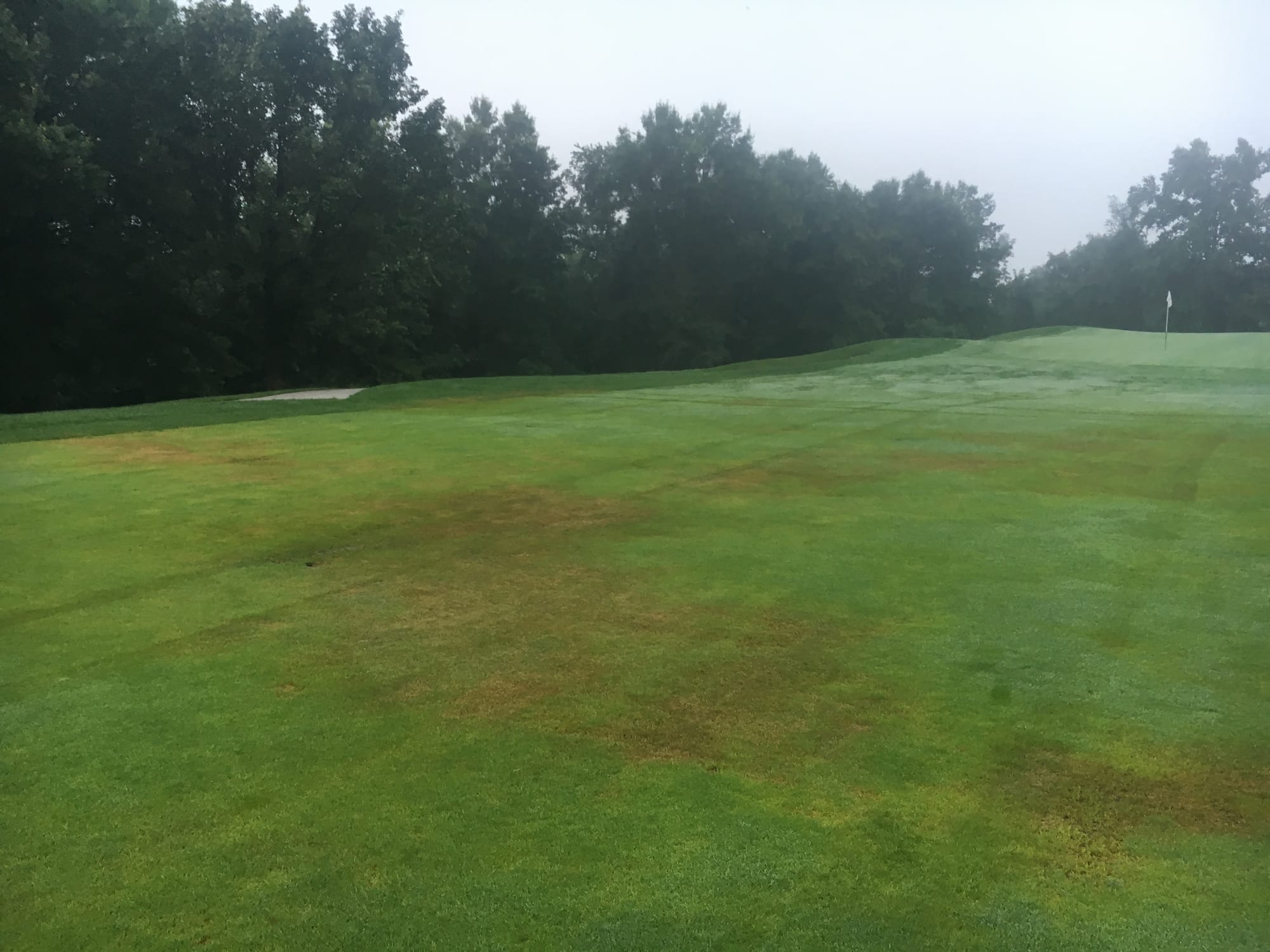 End Result of Pythium Outbreak