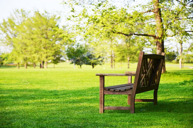 ③会員同士の交流のための活動