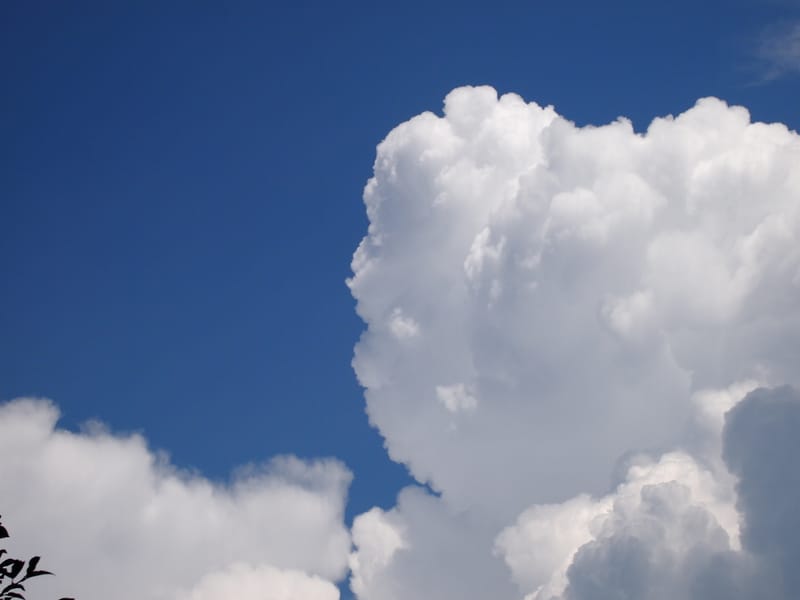 公園という場所の大切さ