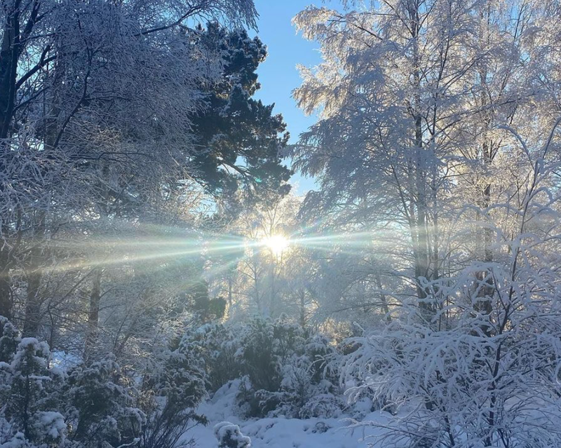 Keeping the Network Running