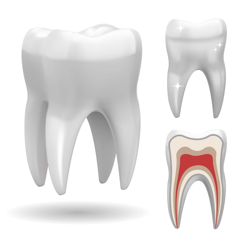Dental nerve treatment and when is nerve extraction necessary?