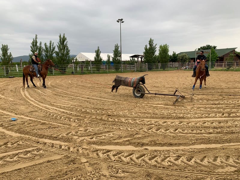 Lezioni di Team Roping