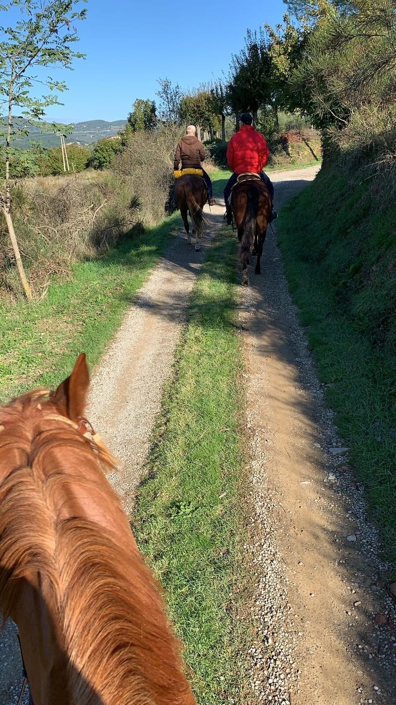 Passeggiate a Cavallo