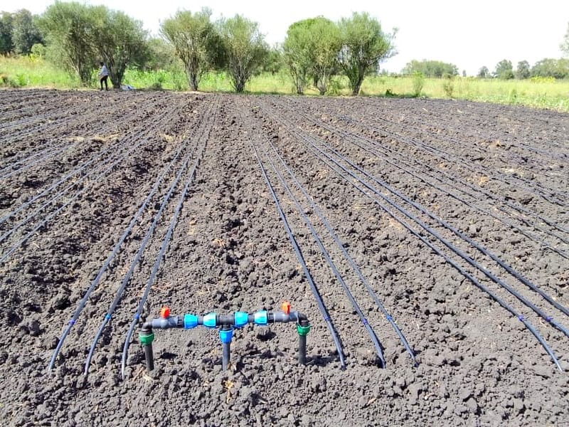 Designing of irrigation systems (Drip &amp; Sprinklers irrigation systems)