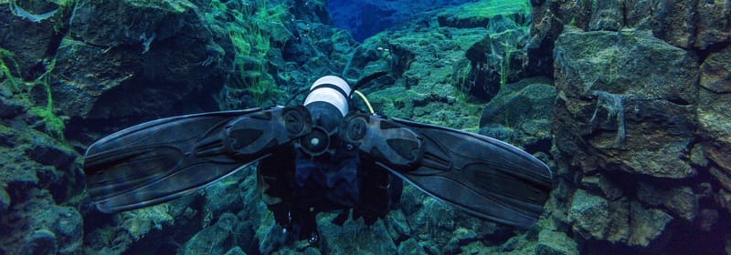 Flossenschlag Workshop