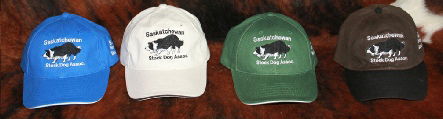 $20.00 SSDA Branded Embroidered Baseball Cap - Velcro Back