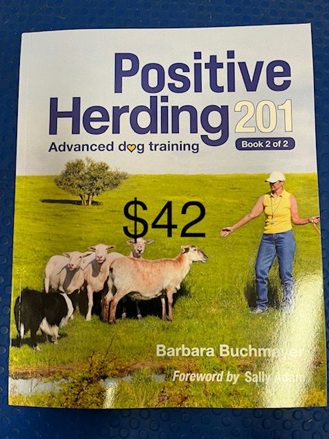 $42 Positive Herding 201