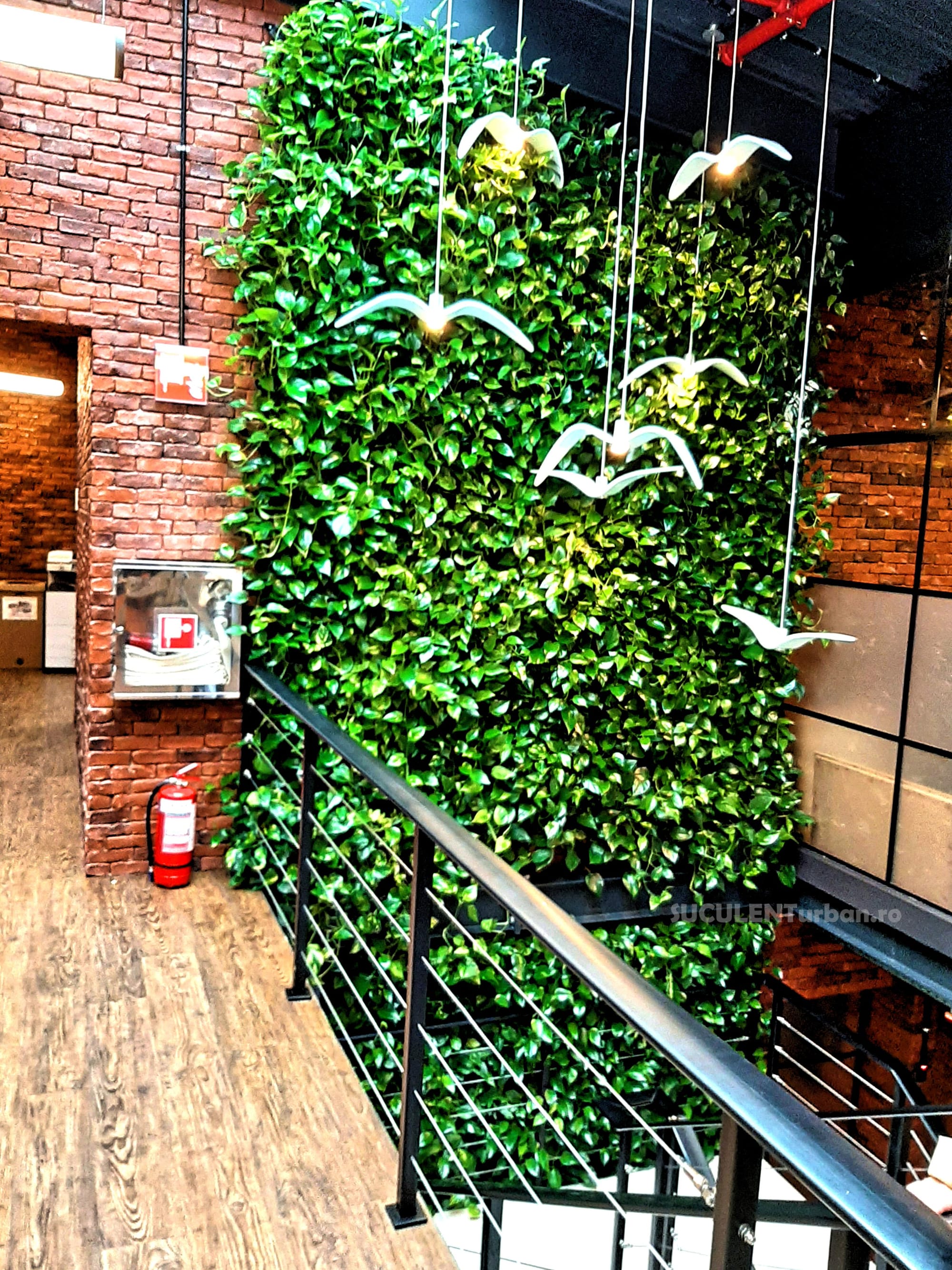 Zona office si Zona tehnica 