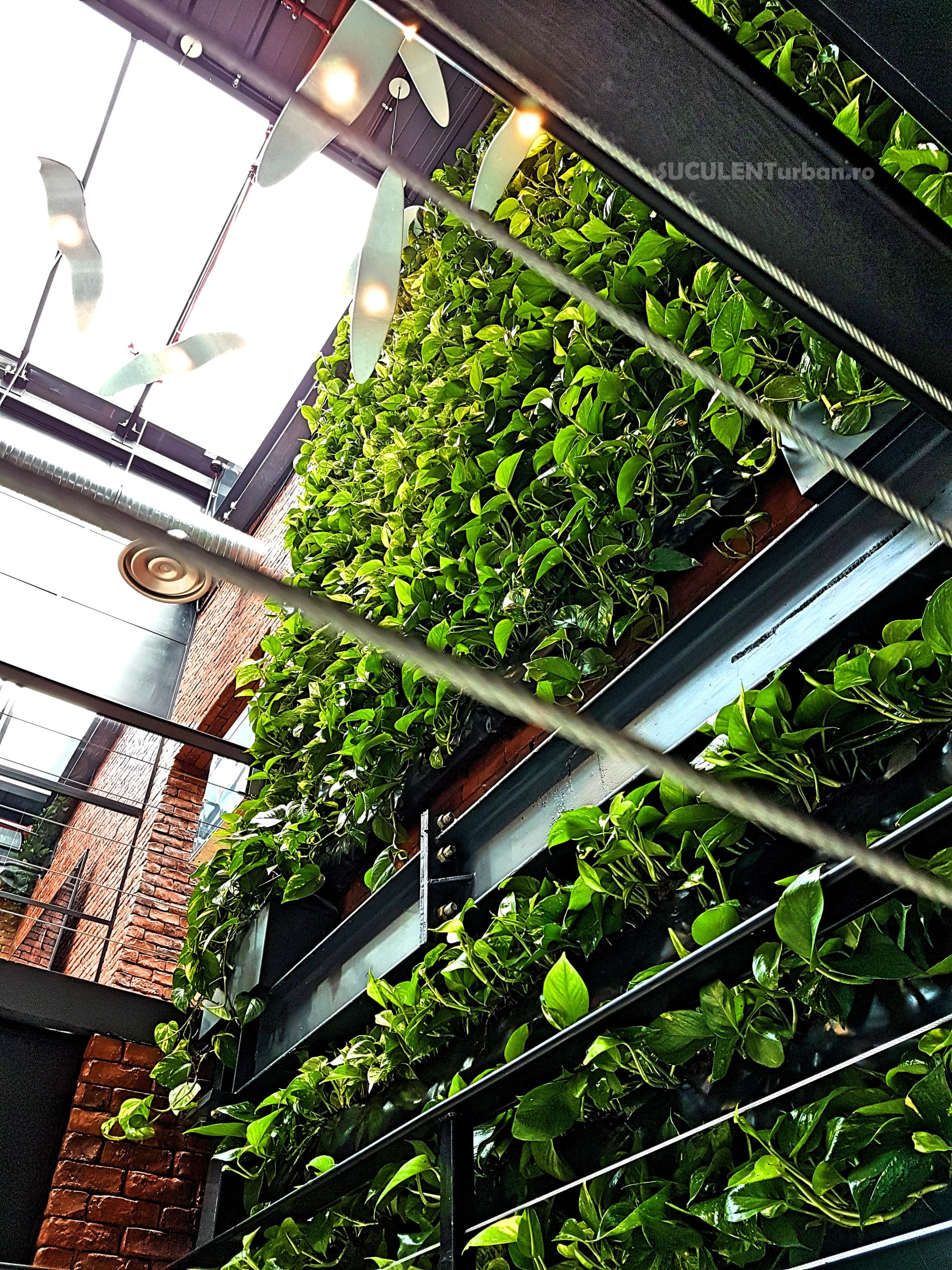 Zona office si Zona tehnica 