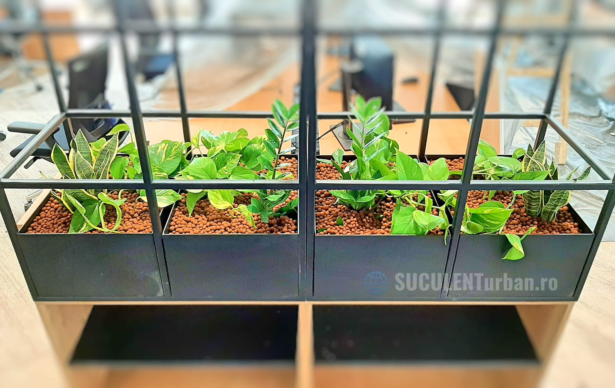 Design Vegetal Interior