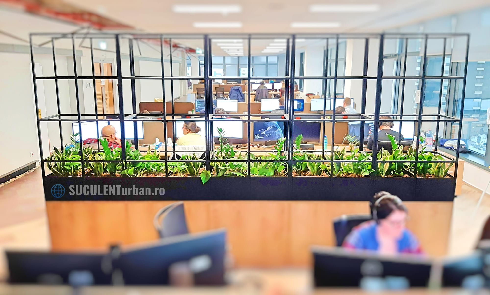 Design Vegetal Interior