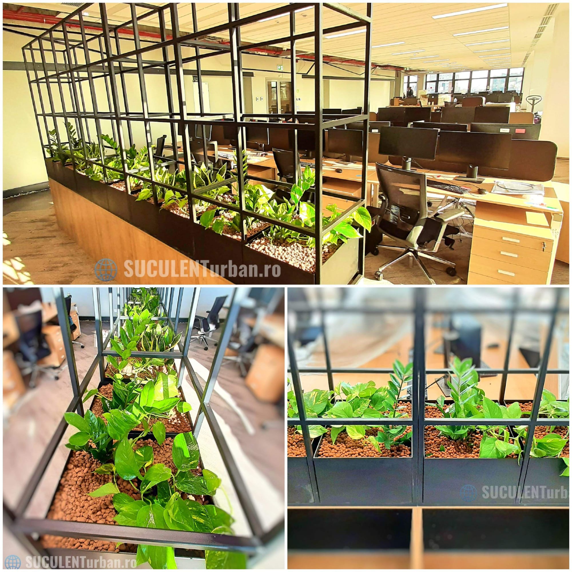 Design Vegetal Interior