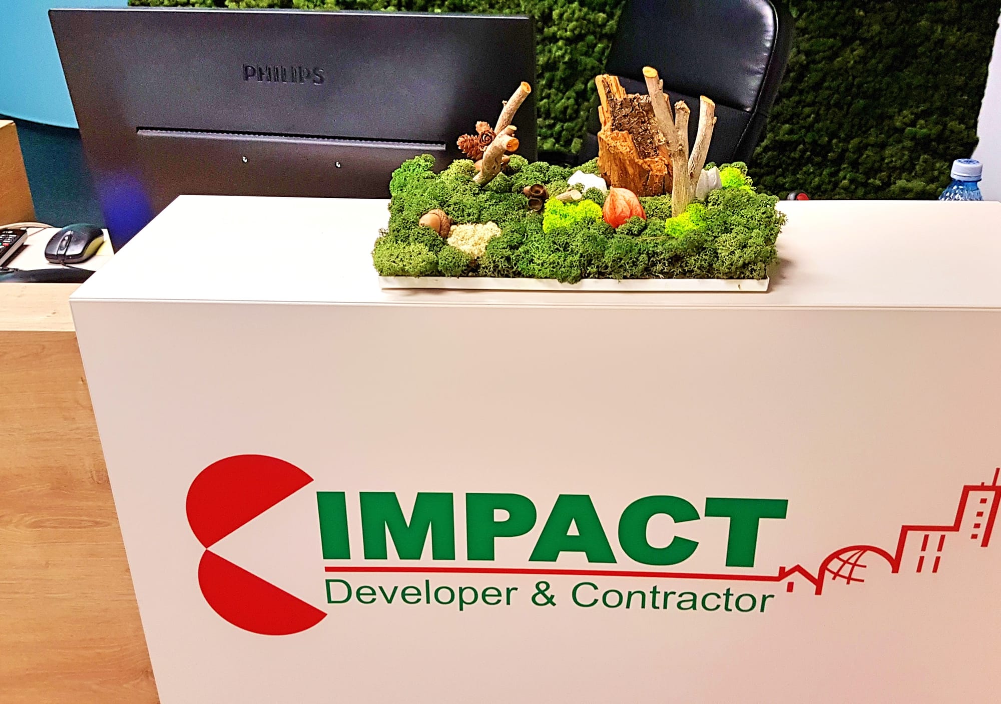 Design Vegetal Licheni