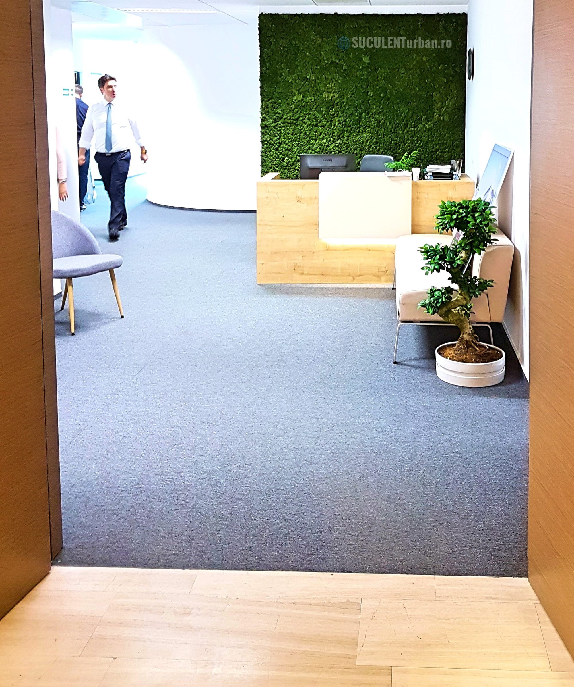 Design Vegetal Licheni