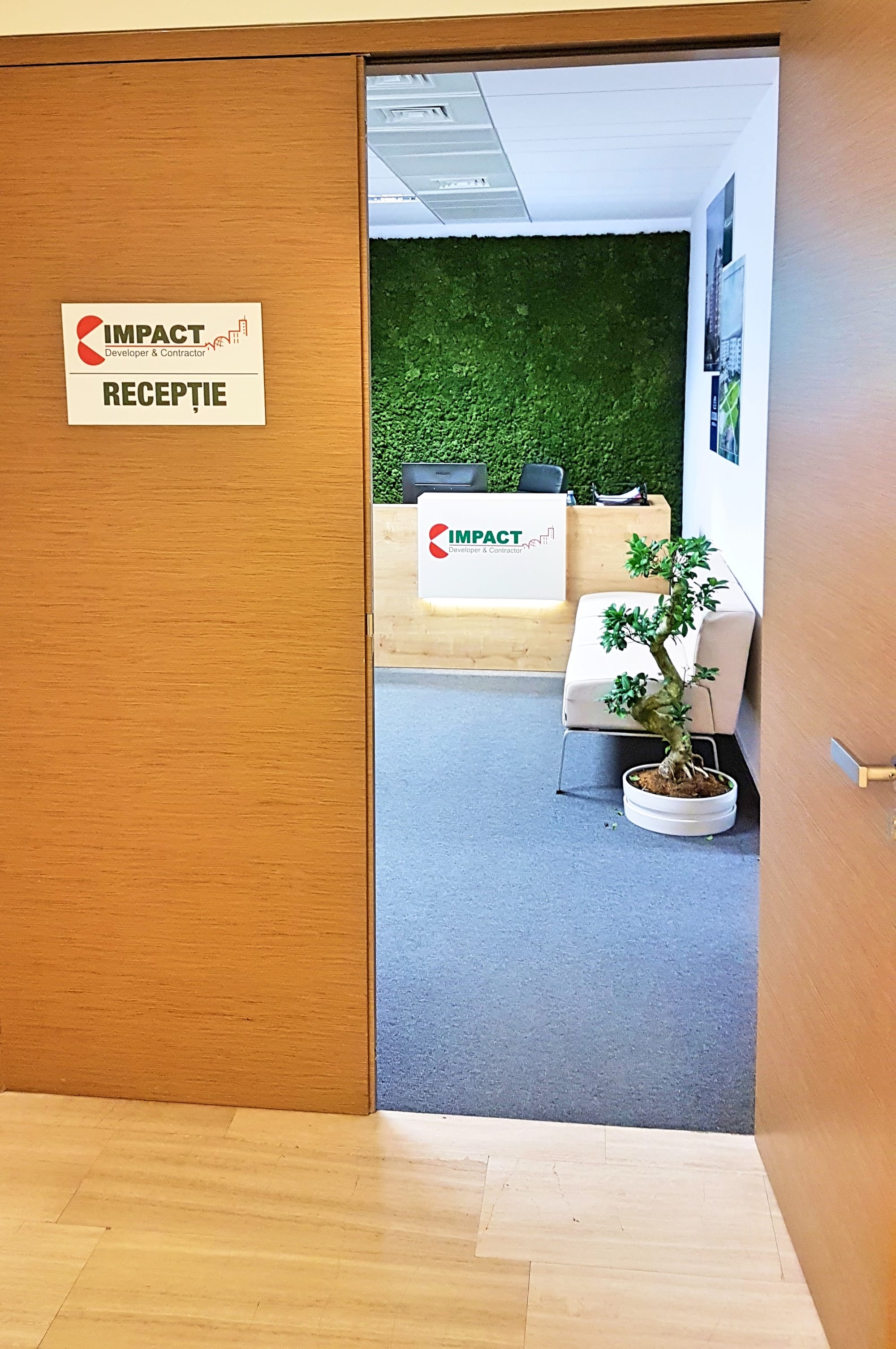 Design Vegetal Licheni