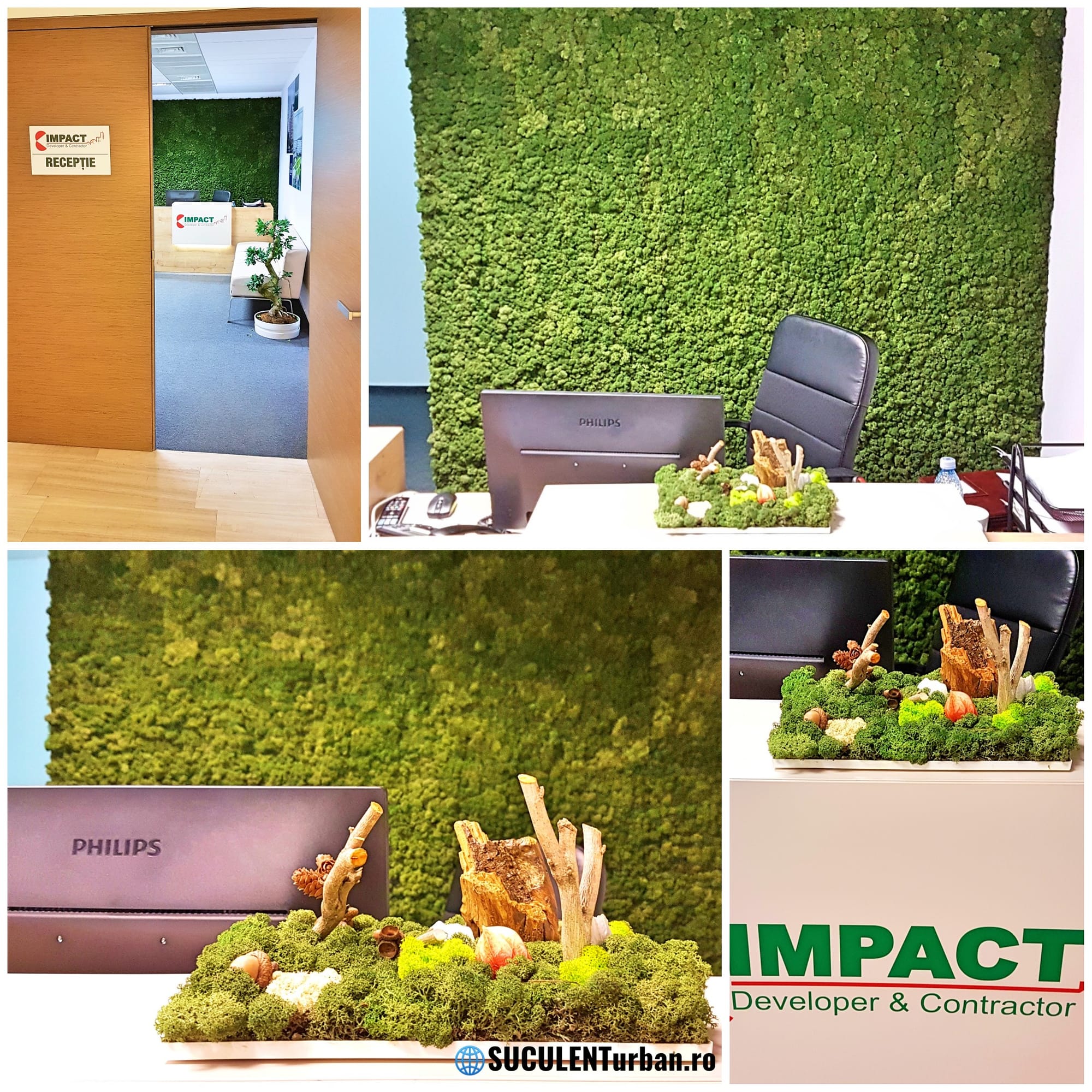 Design Vegetal Licheni