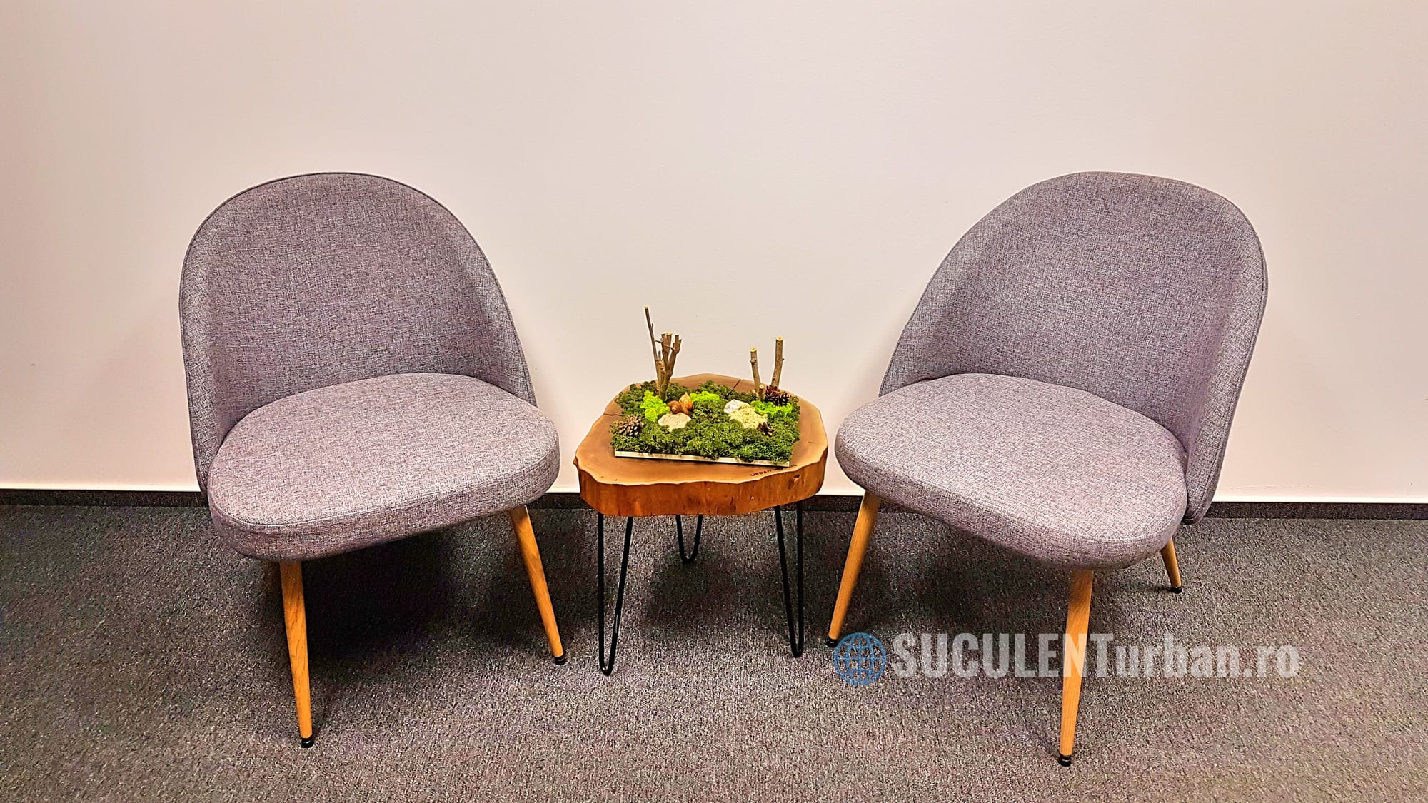 Design Vegetal Licheni