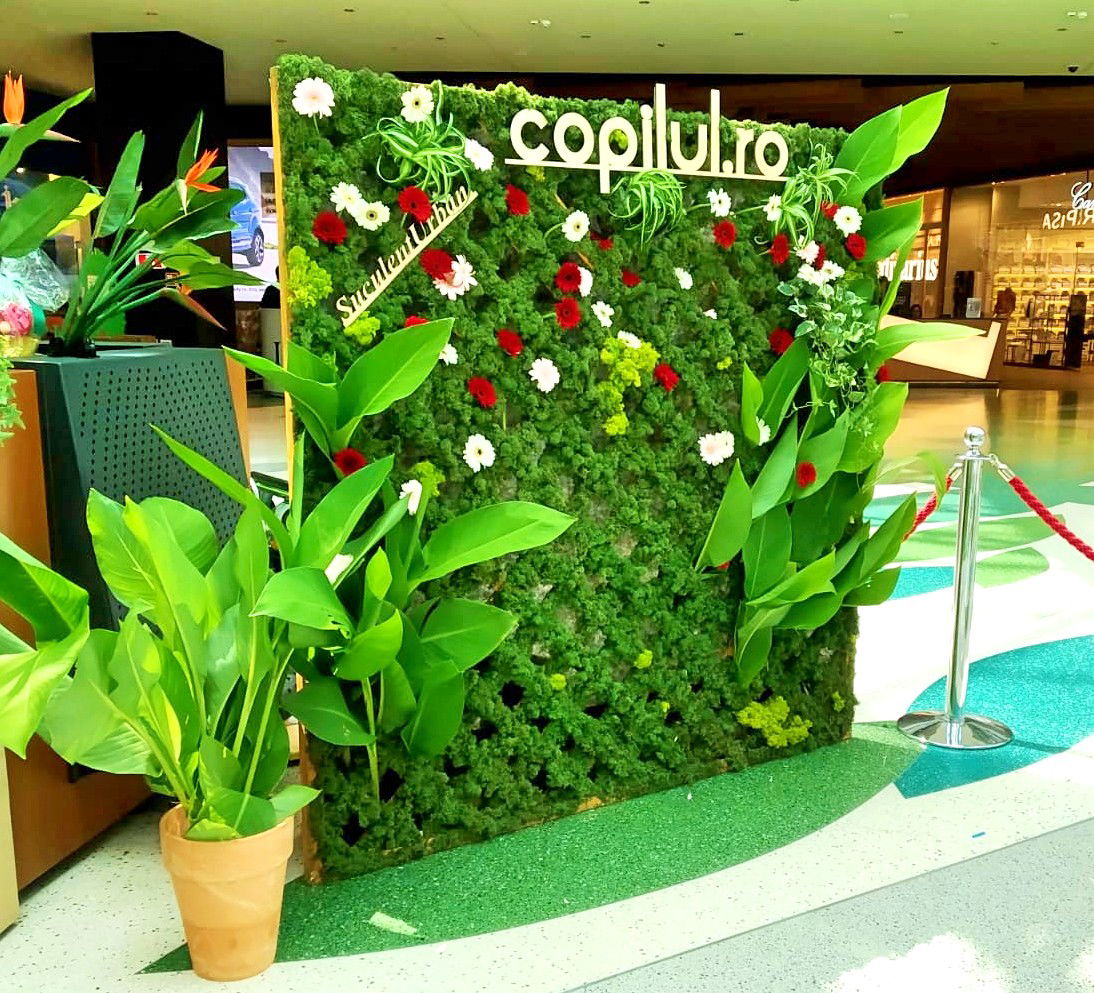 Eveniment public @ Park Lake