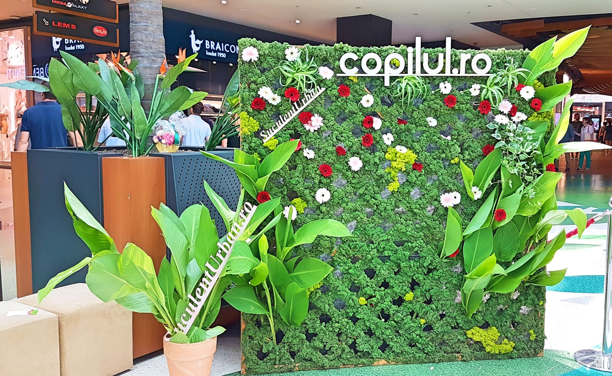 Eveniment public @ Park Lake