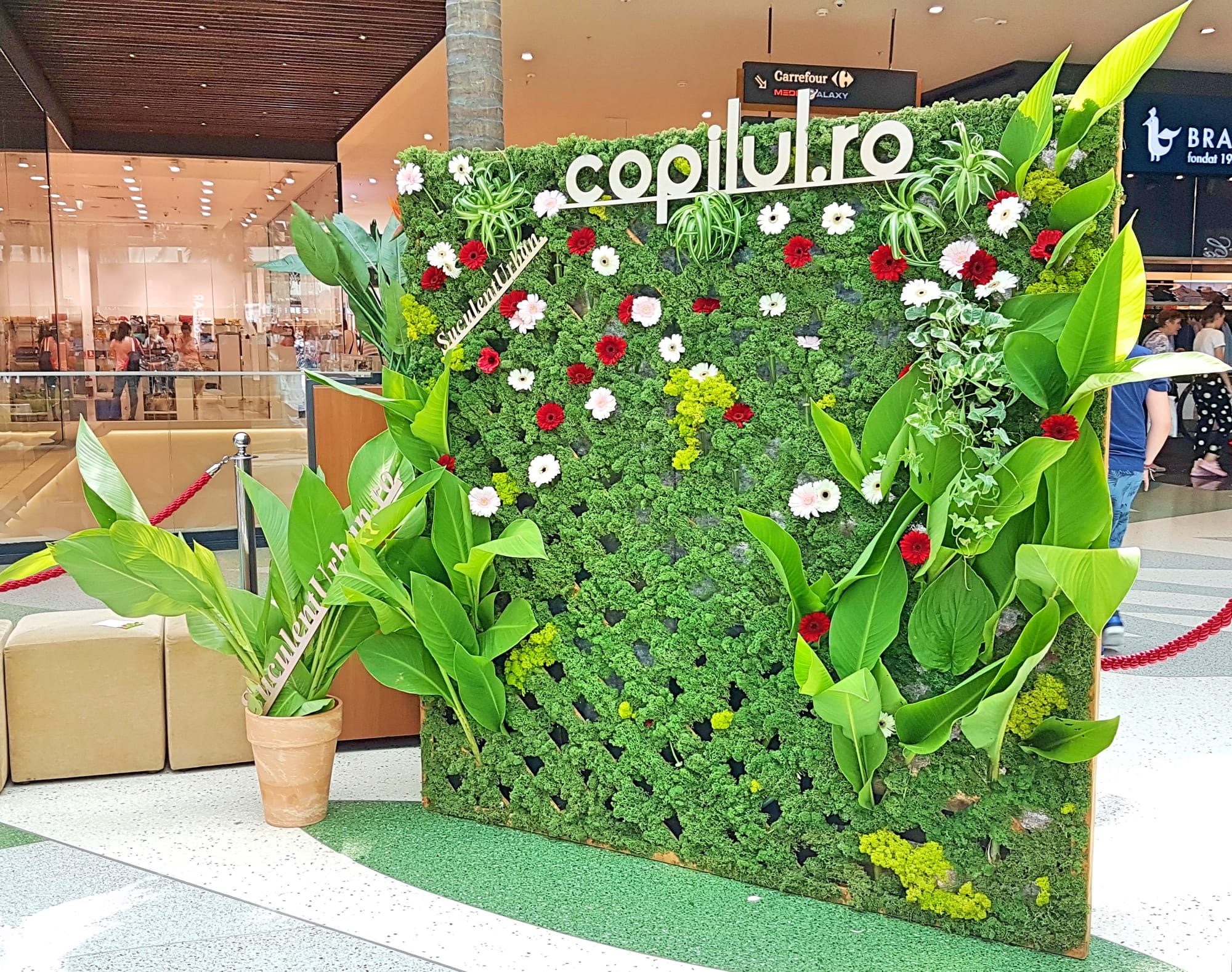 Eveniment public @ Park Lake