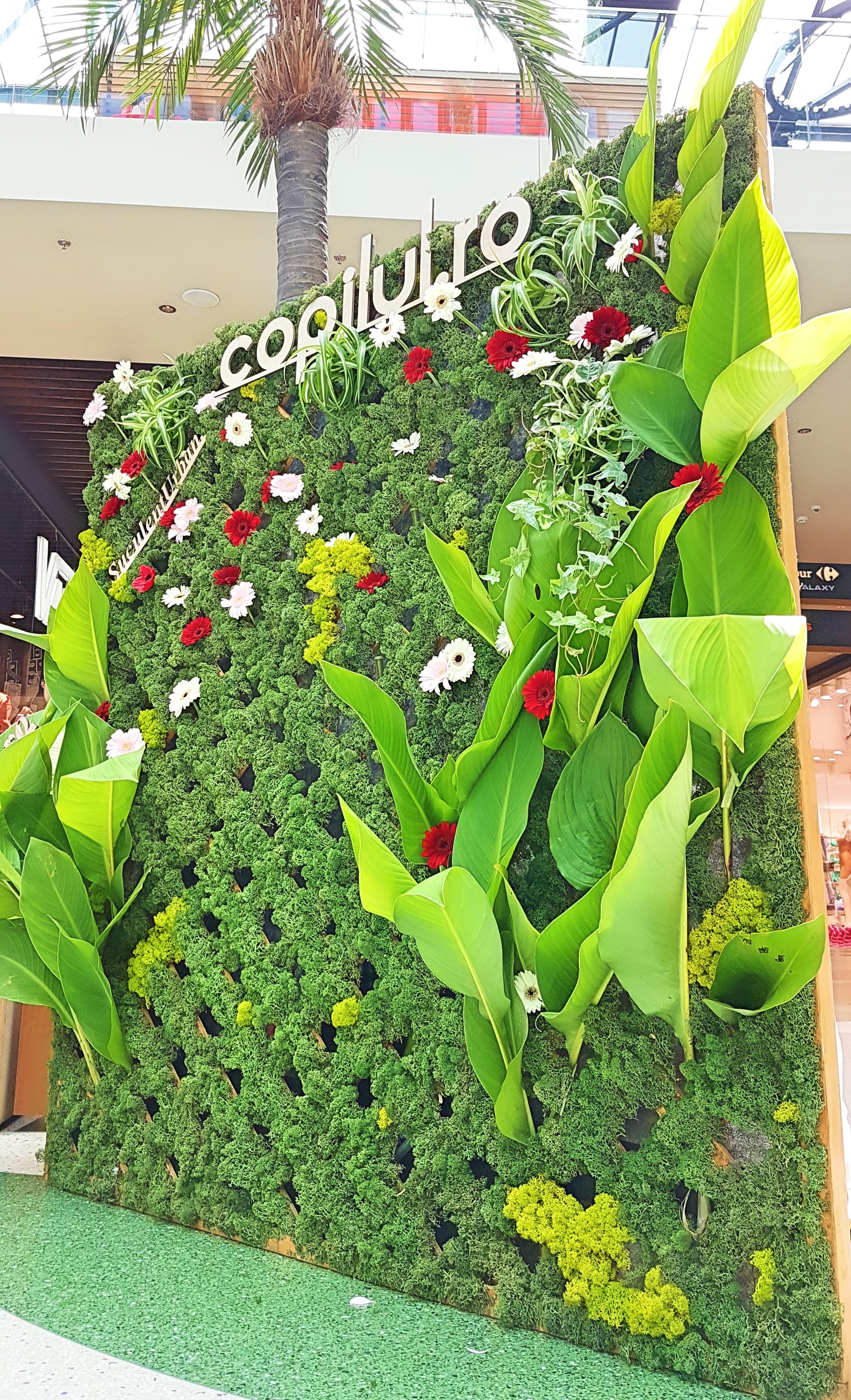 Eveniment public @ Park Lake