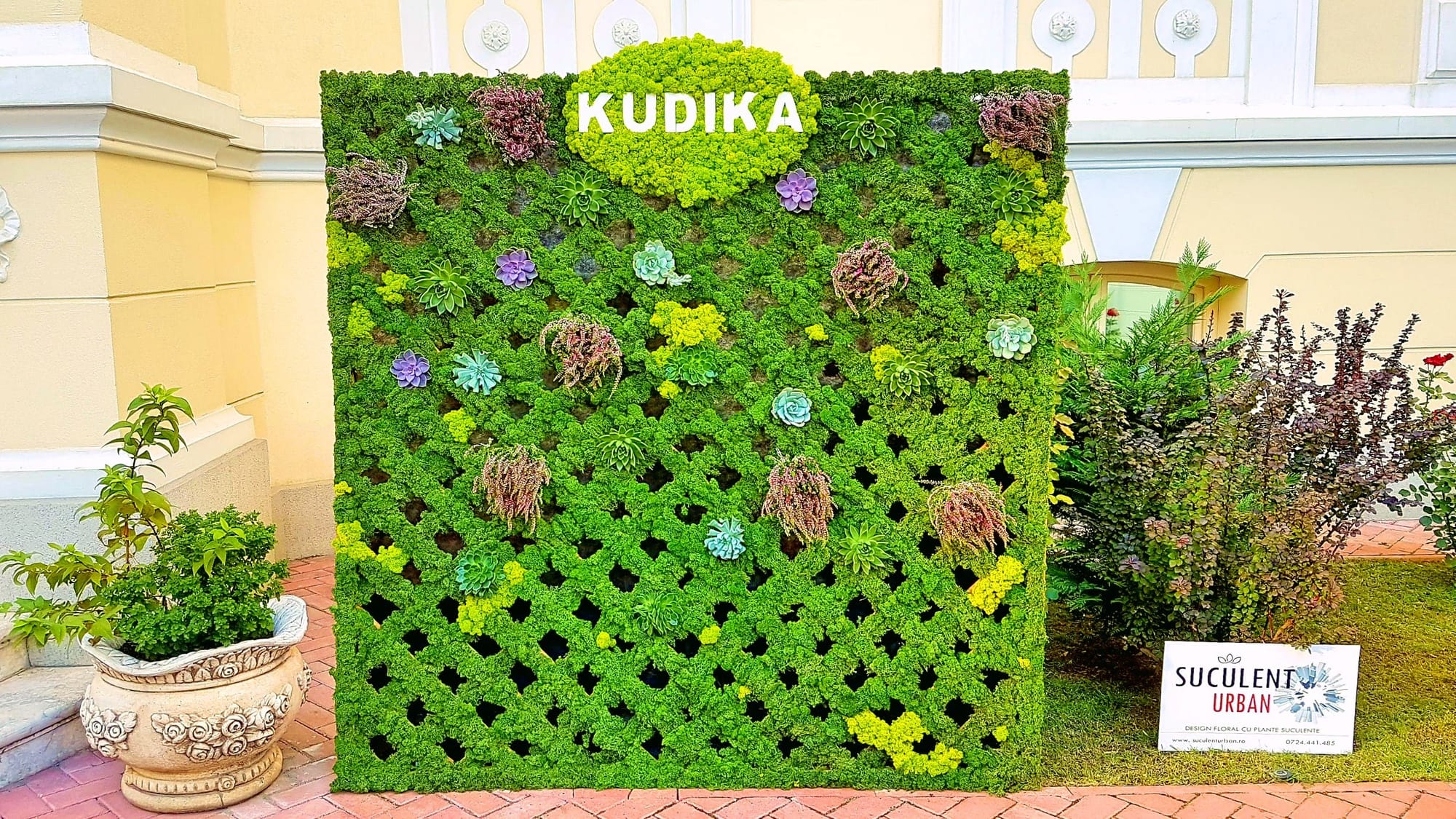 Kudika Good Vibe Party