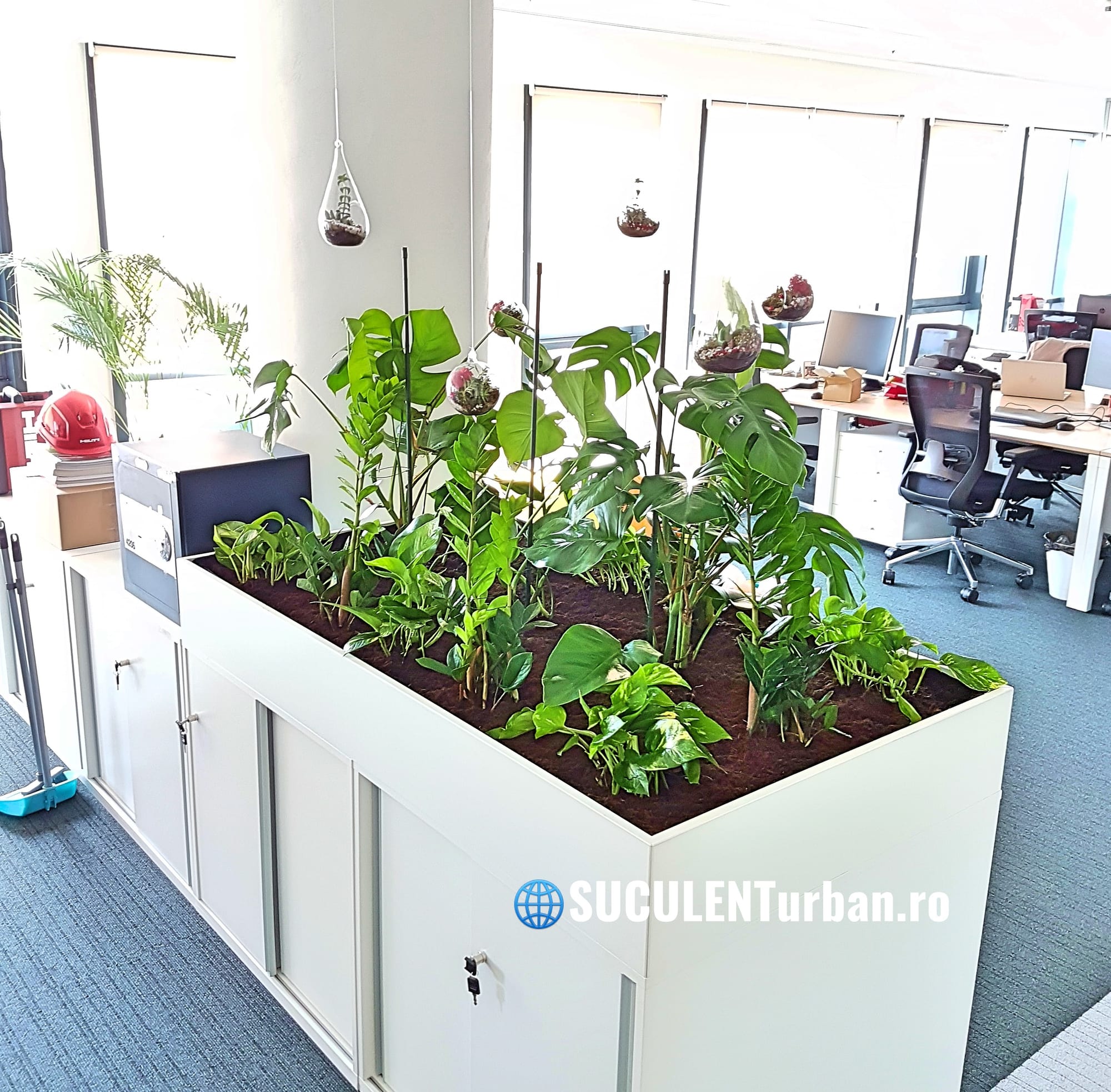 Design Vegetal Interior