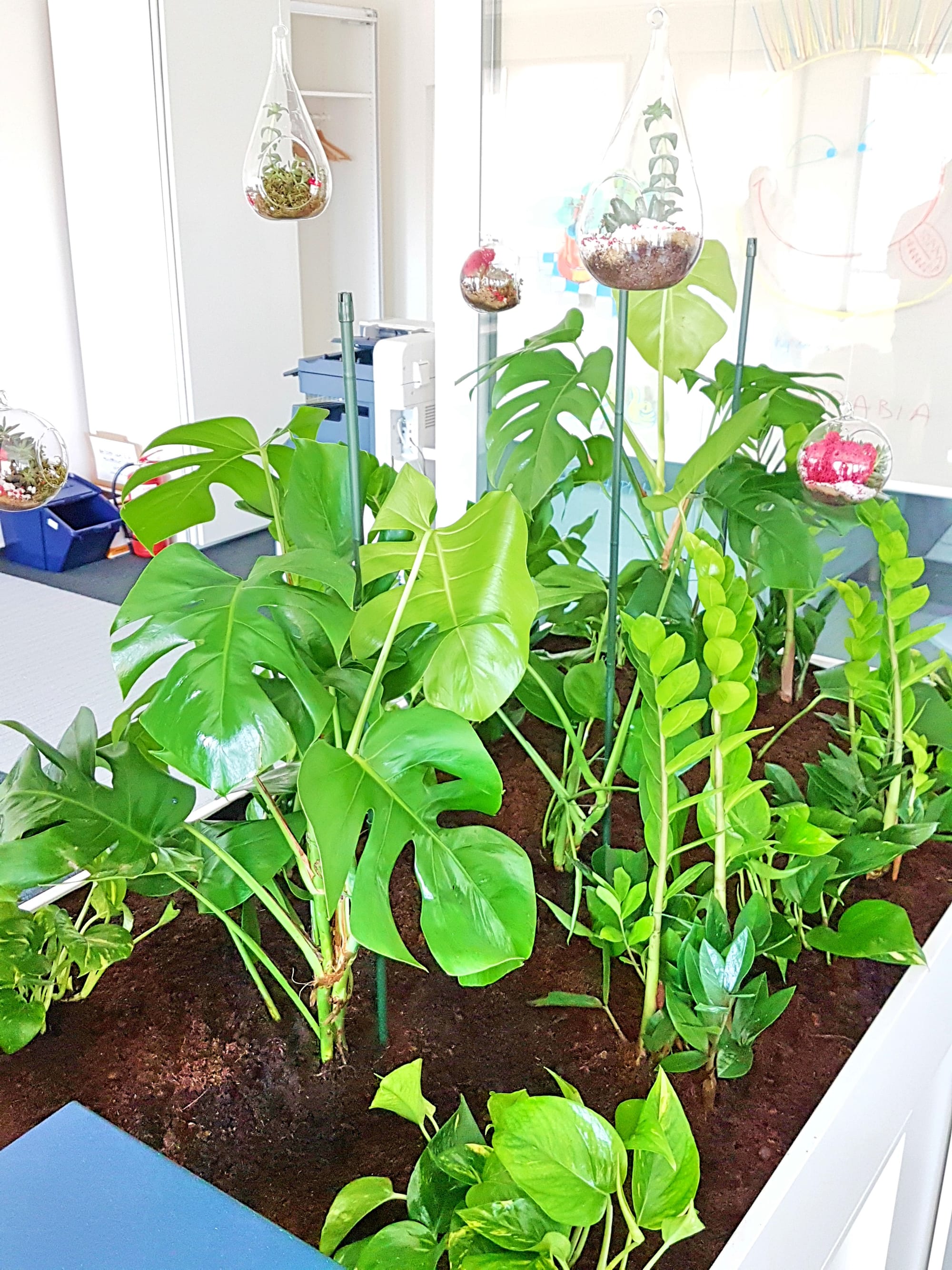 Design Vegetal Interior