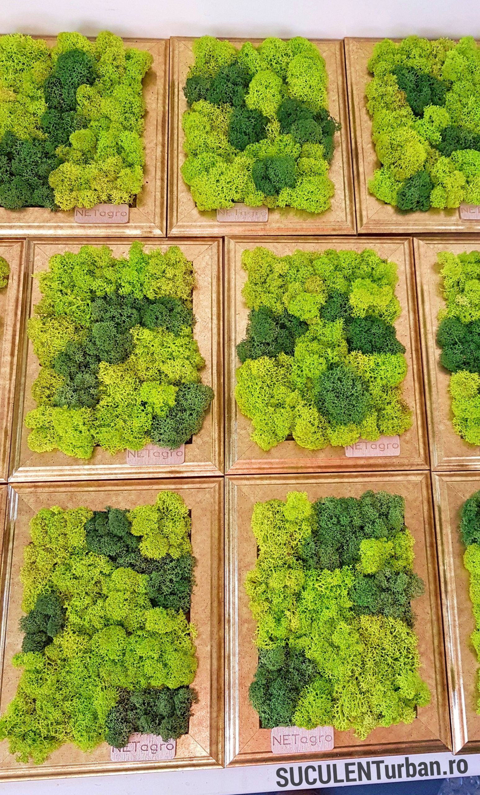 Rame premium decorate cu licheni in mix de verde 