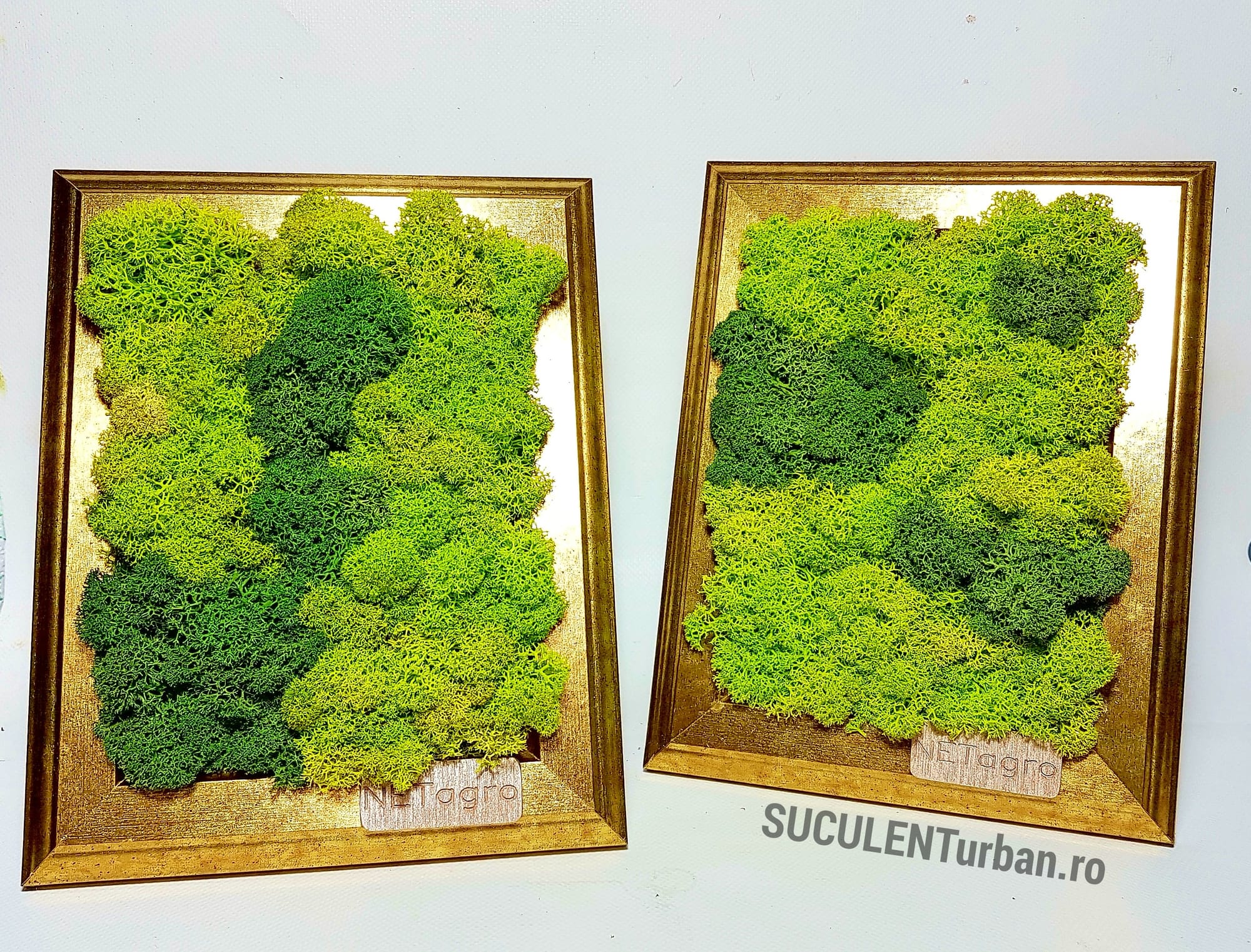 Rame premium decorate cu licheni in mix de verde 