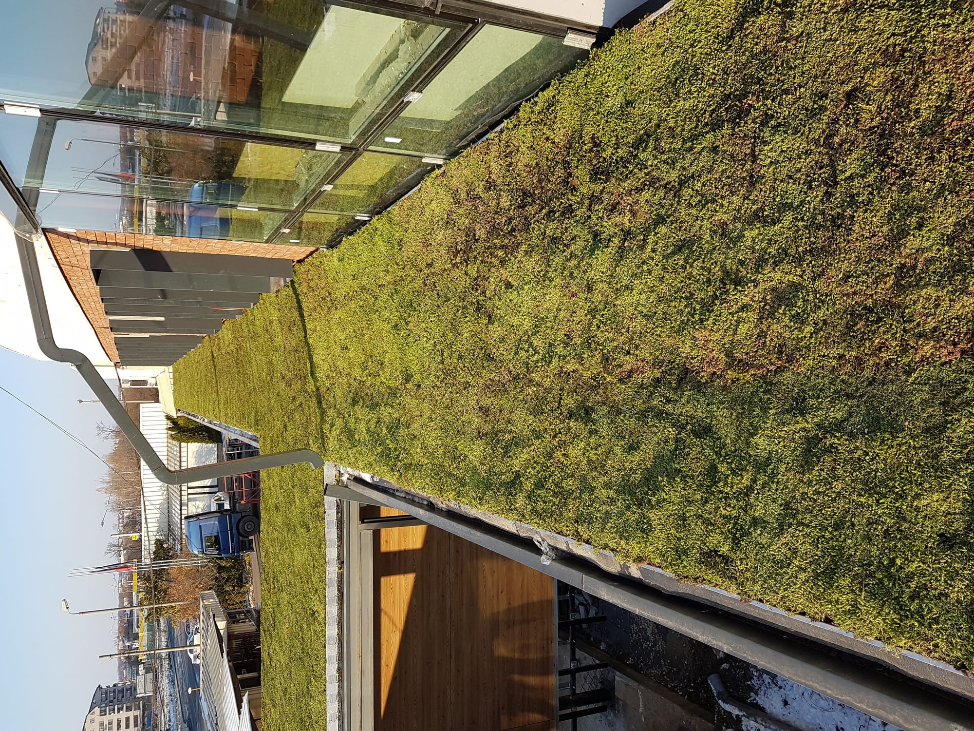 Terasa de peste 300mp acoperita cu covor vegetal din Sedum