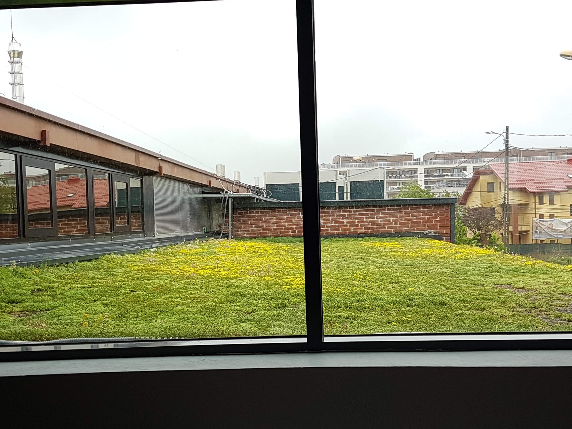 Terasa de peste 300mp acoperita cu covor vegetal din Sedum