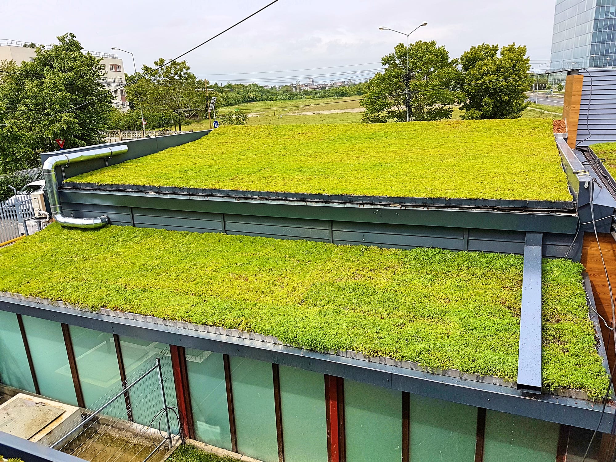 Terasa de peste 300mp acoperita cu covor vegetal din Sedum