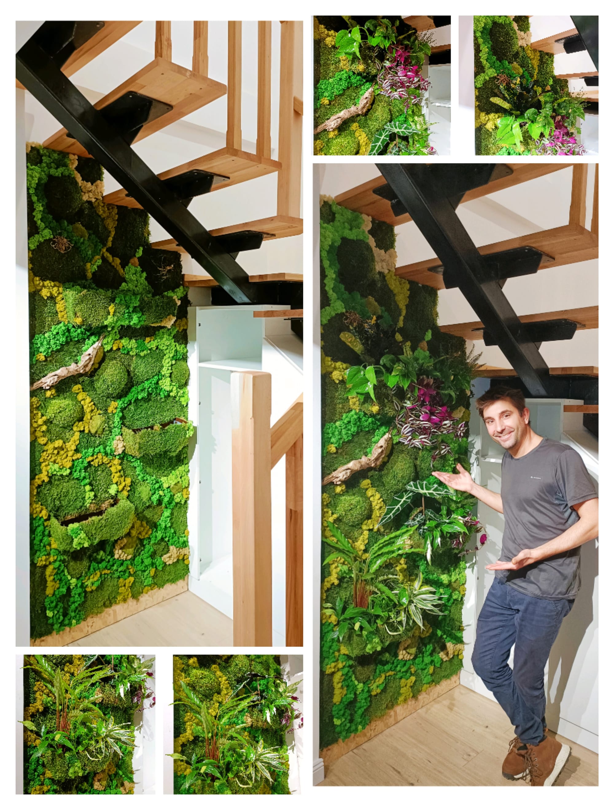 Perete vegetal decorat cu plante naturale , licheni si muschi