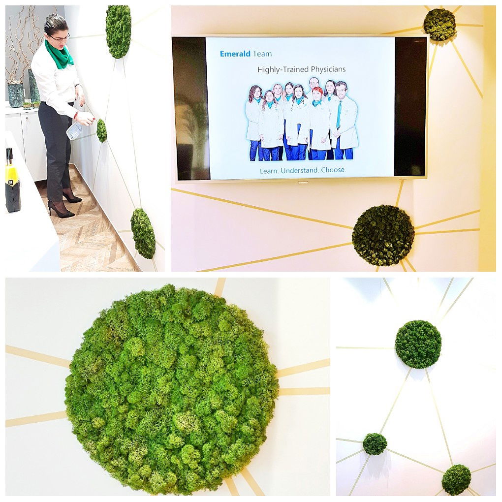 Decorarea receptiei Centrului medical cu insule cu licheni verzi 