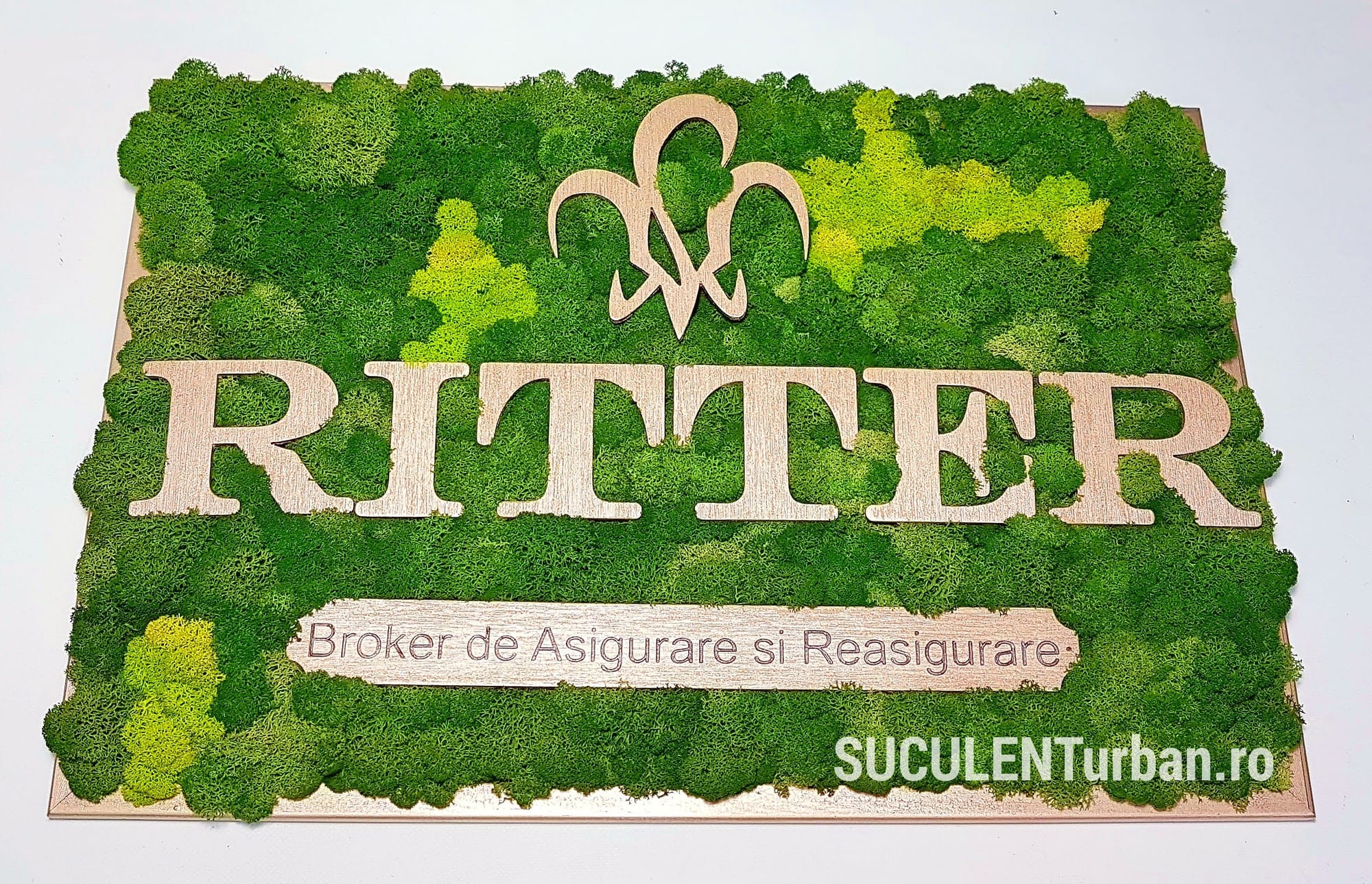 Logo brand vegetal