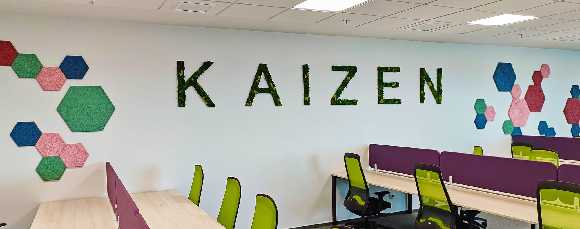 Proiect complex : panou vegetal cu muschi si licheni, litere volumetrice si jardiniere cu plante stabilizate