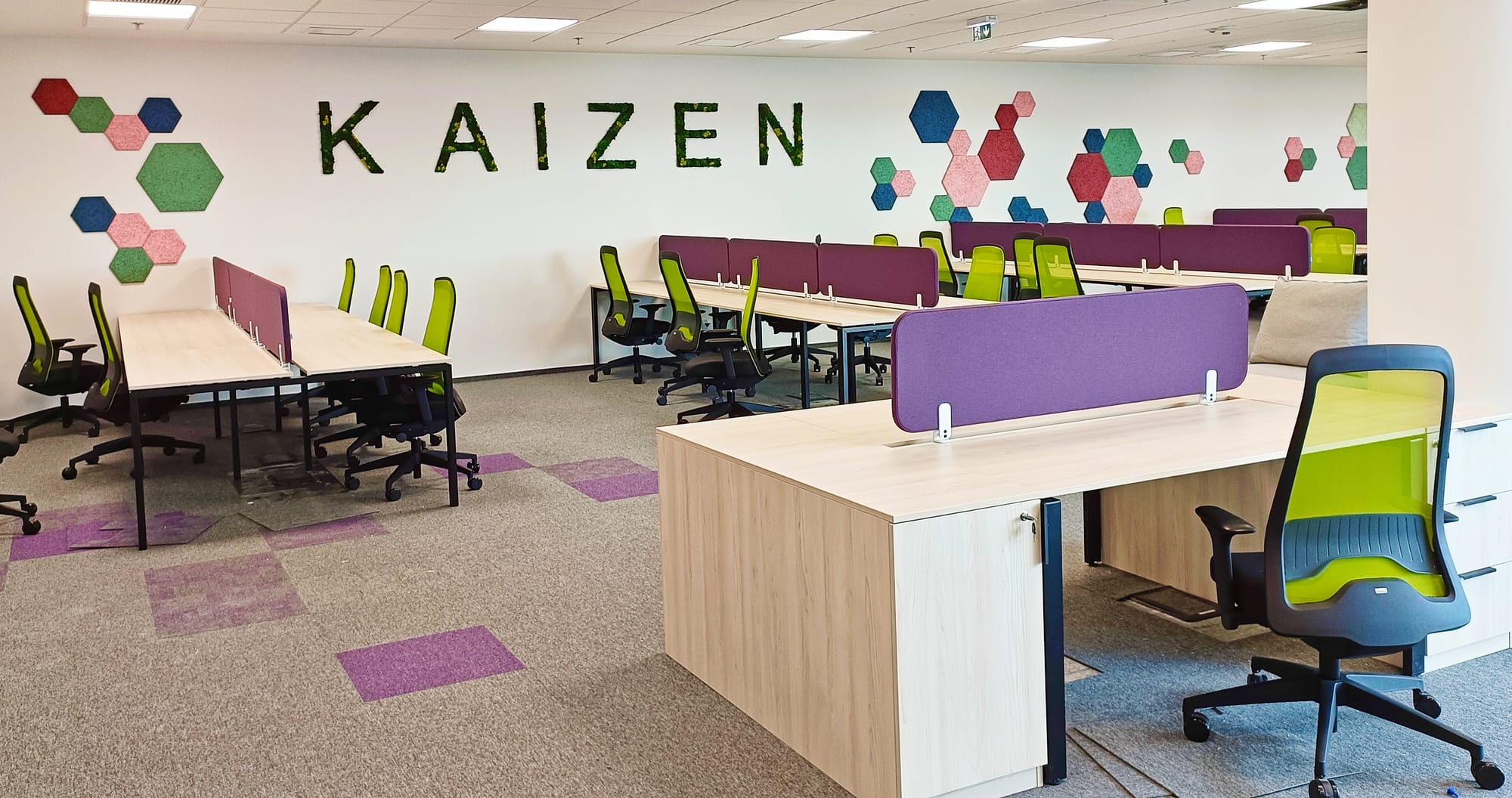 Proiect complex : panou vegetal cu muschi si licheni, litere volumetrice si jardiniere cu plante stabilizate