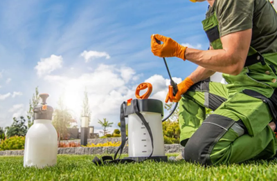 FERTILIZAREA FOLIARĂ