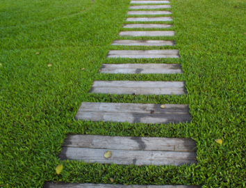 The Backyard Gardening