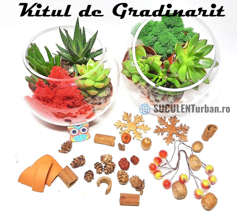 Kitul de Gradinarit