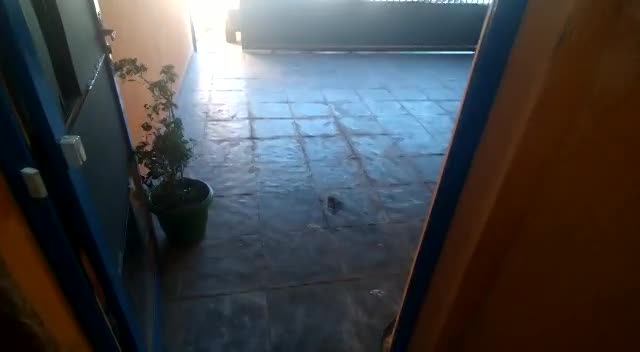 MOTOR NOVO - PORTÃO