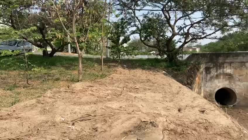 PMC - REUNIÃO II / SALVETTI