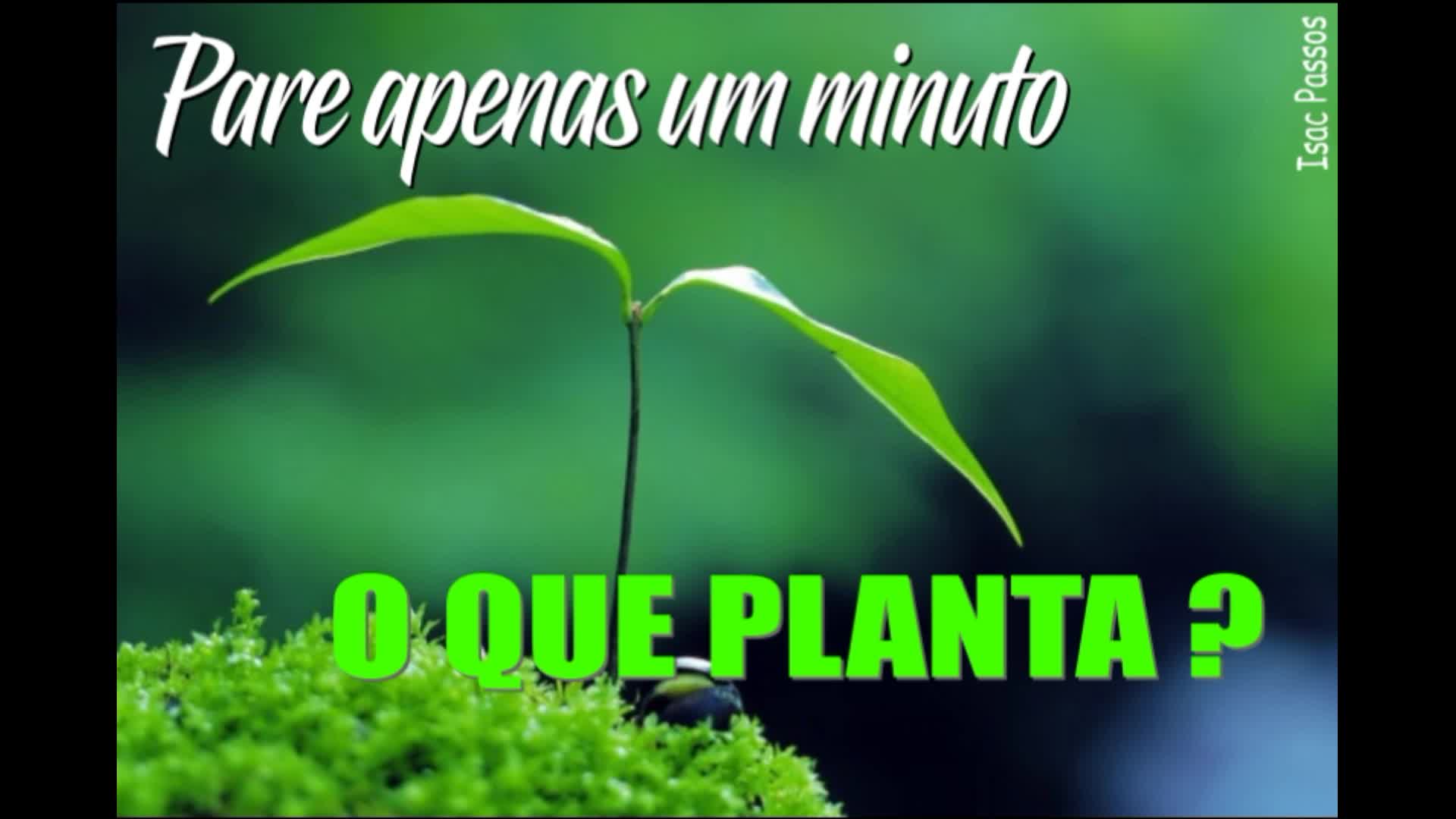 VÍDEOS CONQUISTAS DIVERSAS