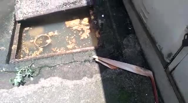 I. - CX GORDURA / ESGOTO