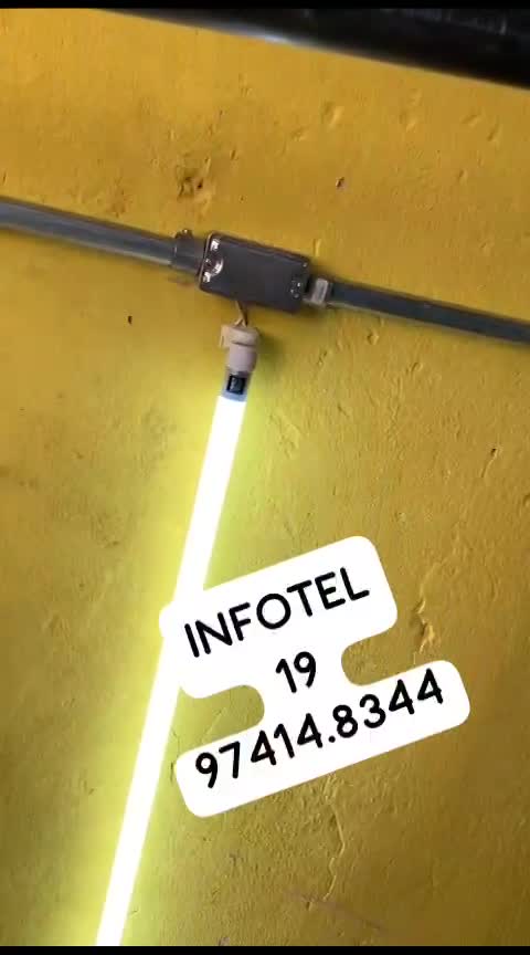 INFOTEL - BRUNO