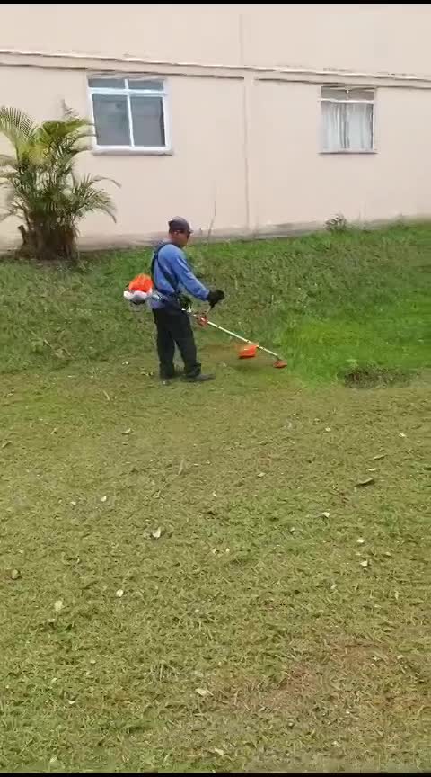 JDIM - ÁRVORES / GRAMA